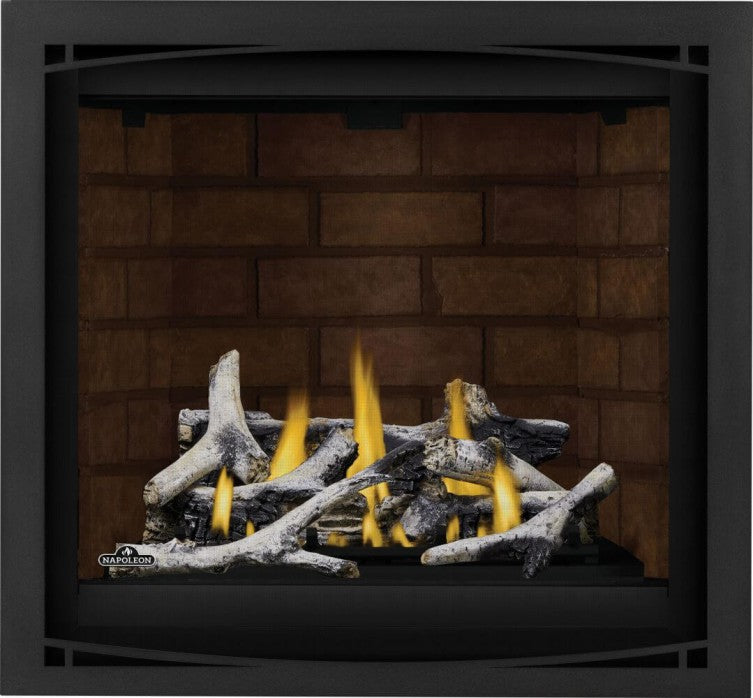 Napoleon Altitude™ X 36 Direct Vent Gas Fireplace