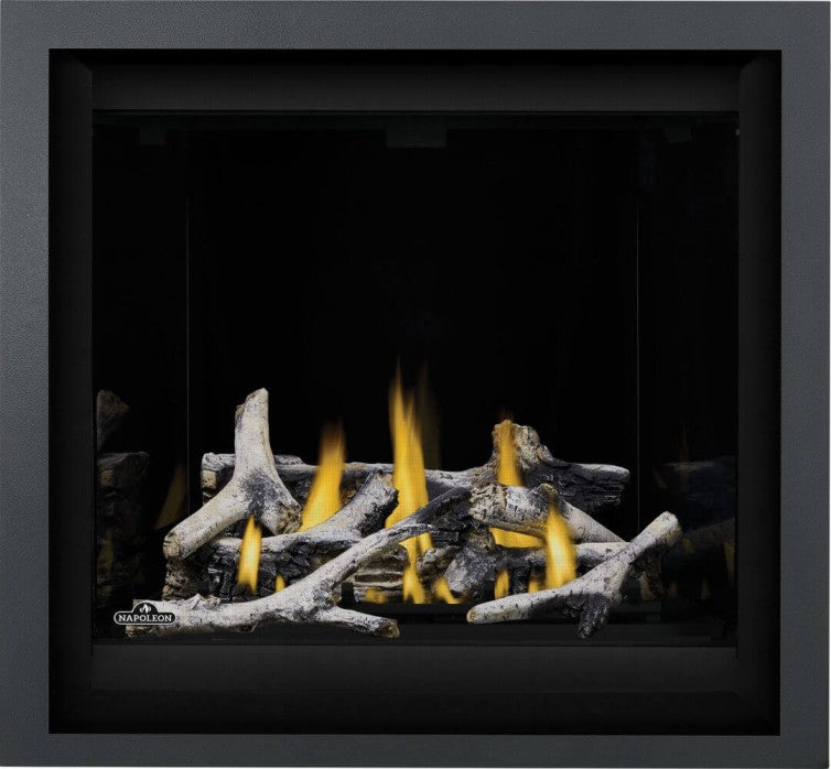 Napoleon Altitude™ X 36 Direct Vent Gas Fireplace