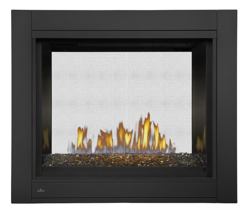 Napoleon Ascent™ Multi-View See-Thru Direct Vent Gas Fireplace