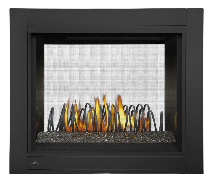 Napoleon Ascent™ Multi-View See-Thru Direct Vent Gas Fireplace