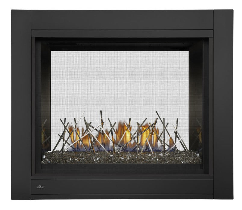 Napoleon Ascent™ Multi-View See-Thru Direct Vent Gas Fireplace