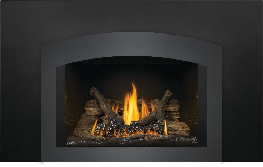 Napoleon Oakville™ 3 Gas Fireplace Insert