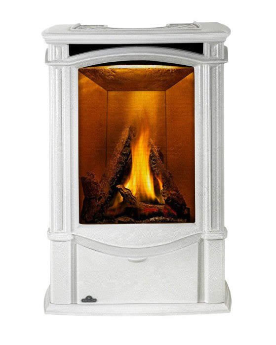 Napoleon Castlemore™ Winter Frost Direct Vent Gas Stove