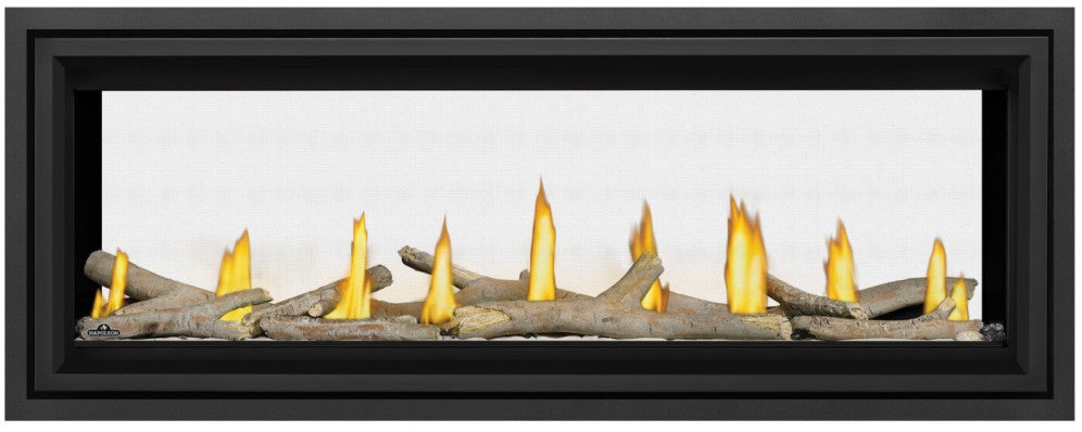 Napoleon Vector 50" See-Thru Direct Vent Gas Fireplace