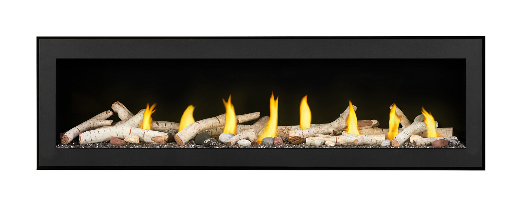 Napoleon Vector 62" Direct Vent Gas Fireplace