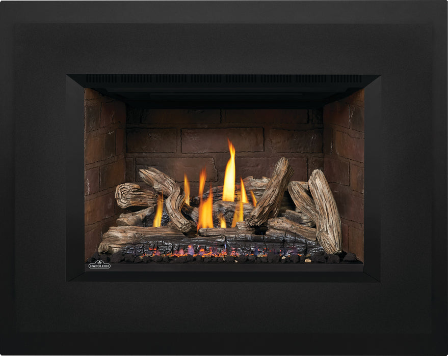 Napoleon Oakville™ X4 Gas Fireplace Insert