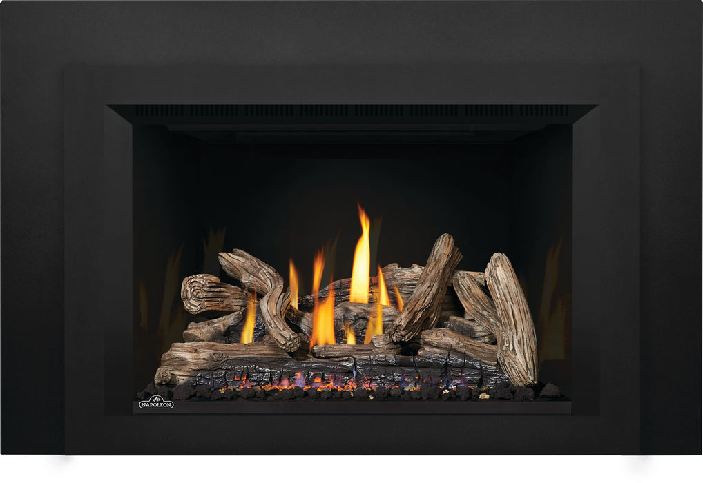 Napoleon Oakville™ X4 Gas Fireplace Insert