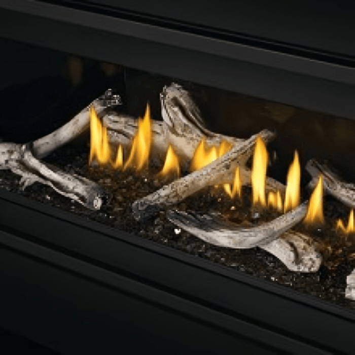 Napoleon Direct Vent Gas Fireplace Small Beach Fire Kit