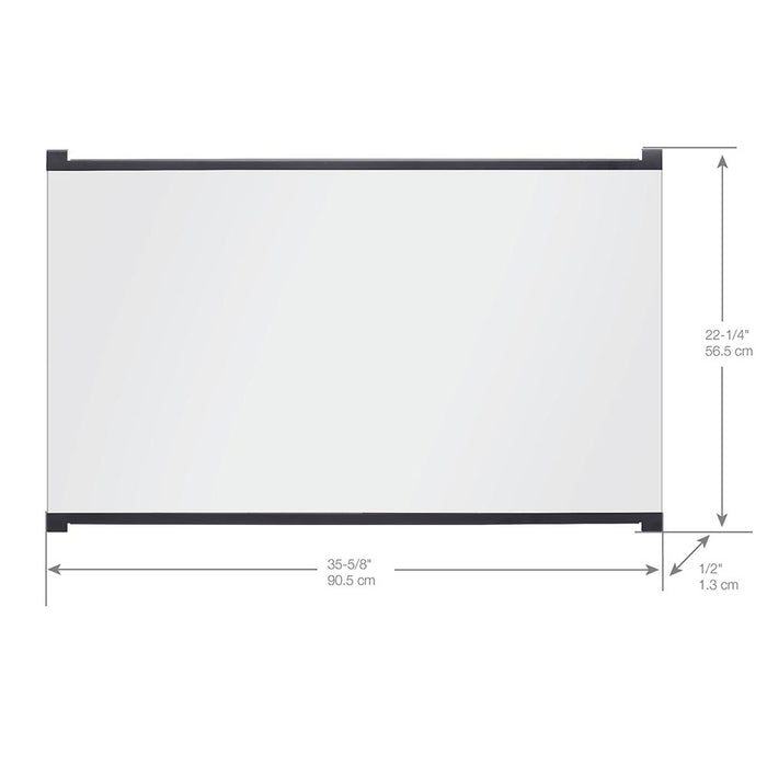 Dimplex 39-Inch Single Pane Glass Door (Firebox NOT included)