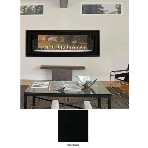 Empire Boulevard 48" Direct Vent See Thru Linear Gas Fireplace - DVLL48SP90